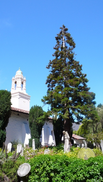 Mission Dolores9