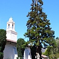 Mission Dolores9