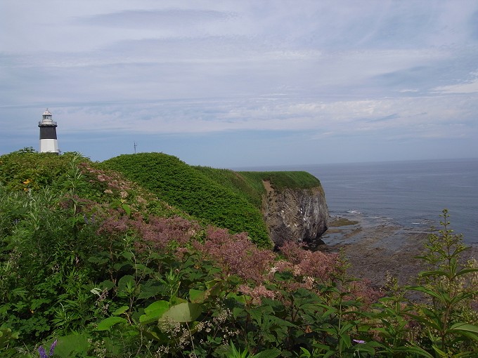 R0018623.jpg R0018623.jpg