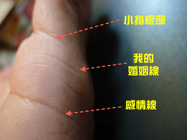婚姻線 婚姻線
