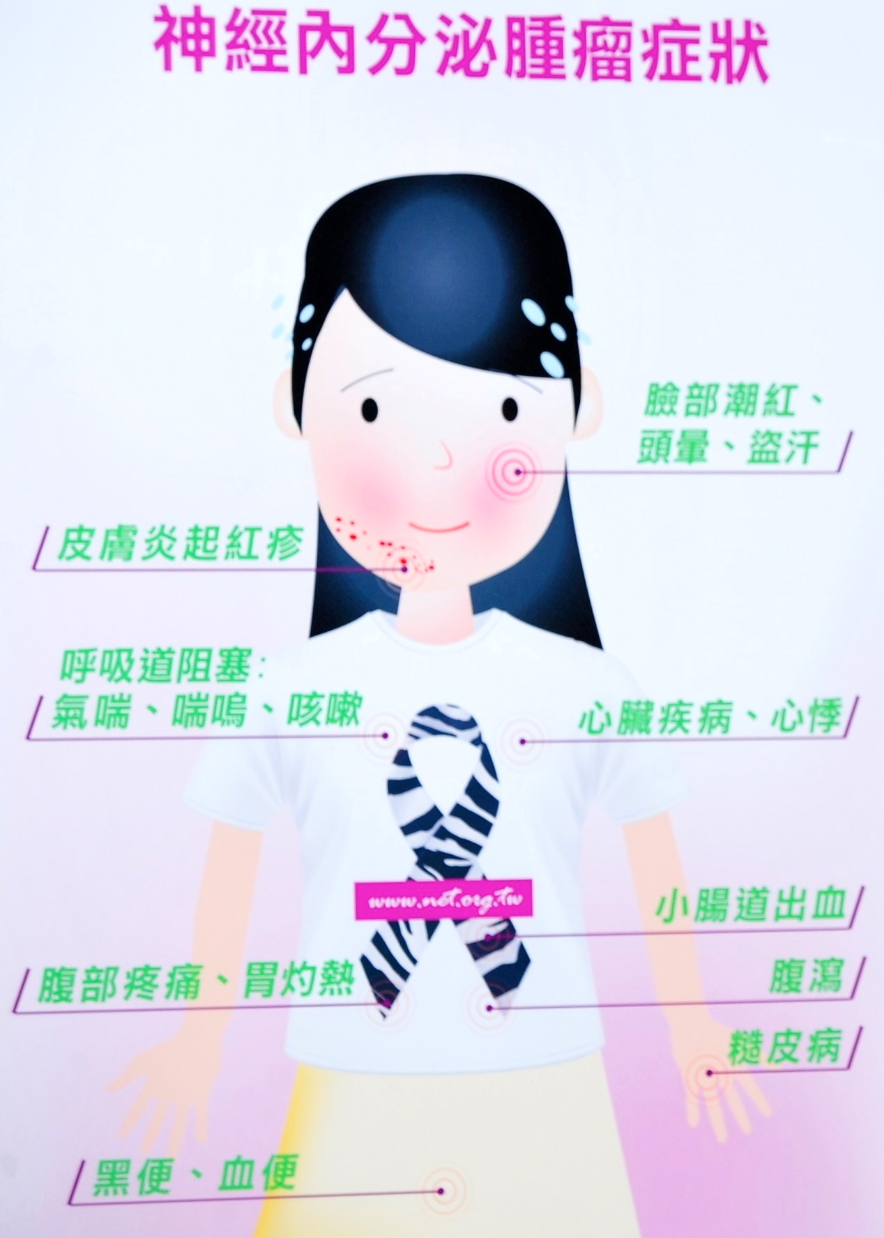 公益 神經內分泌腫瘤資訊網 Raindog 痞客邦
