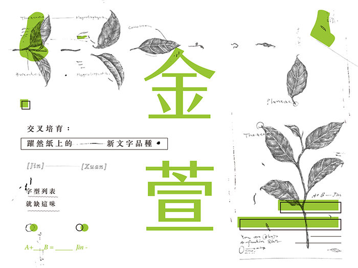 金萱 金萱