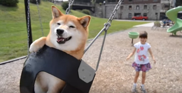 Raindog 痞客邦