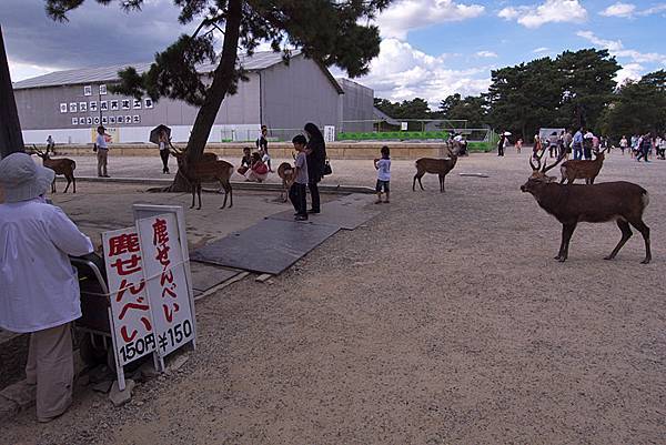 興福寺-01.jpg