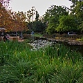 norton simon museum-4