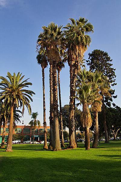 Pasadena center park