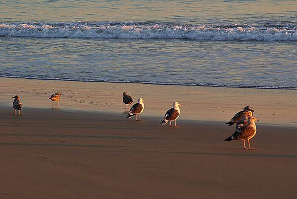 crystal cove state park-17