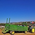 Carlsbad flower field-14