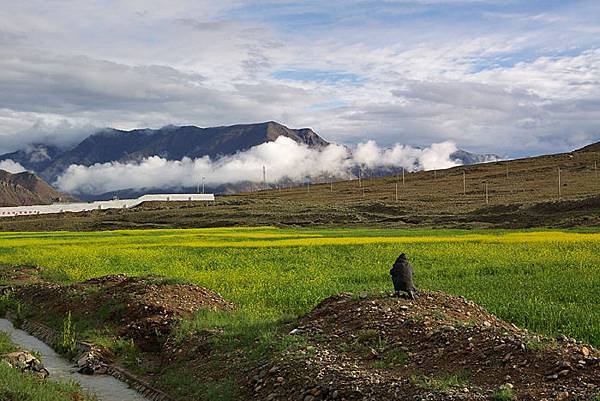 青藏公路-01-馬鄉.jpg