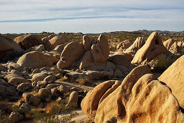 Joshua Tree National Park-7