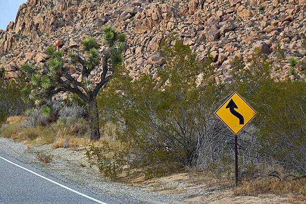 Joshua Tree National Park-10