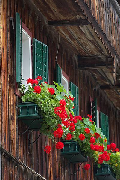 window-hallstatt-2