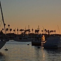 Balboa island-26