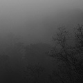 中橫-06-grey.jpg