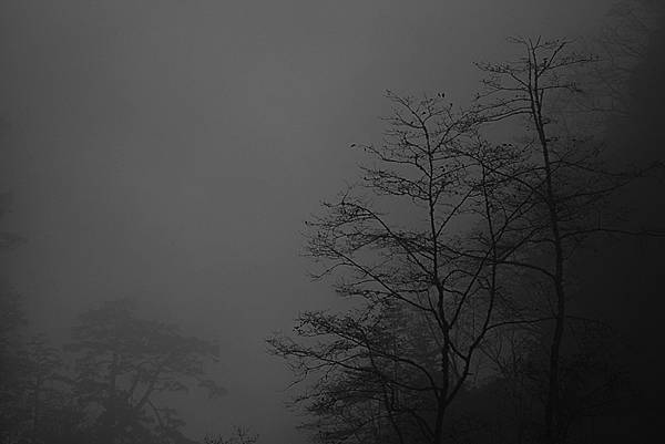 中橫-09-grey.jpg