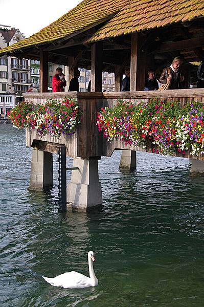 Luzern-04.jpg