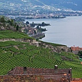 Lavaux-25.jpg