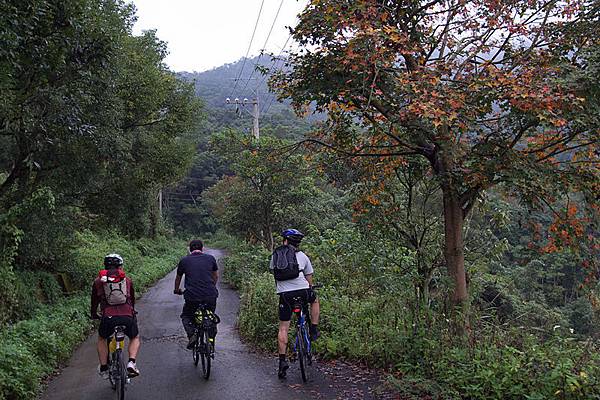 北大武登山口-18.jpg