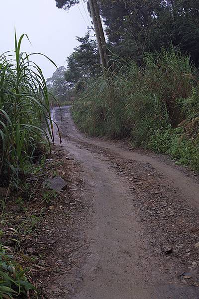 北大武登山口-28.jpg