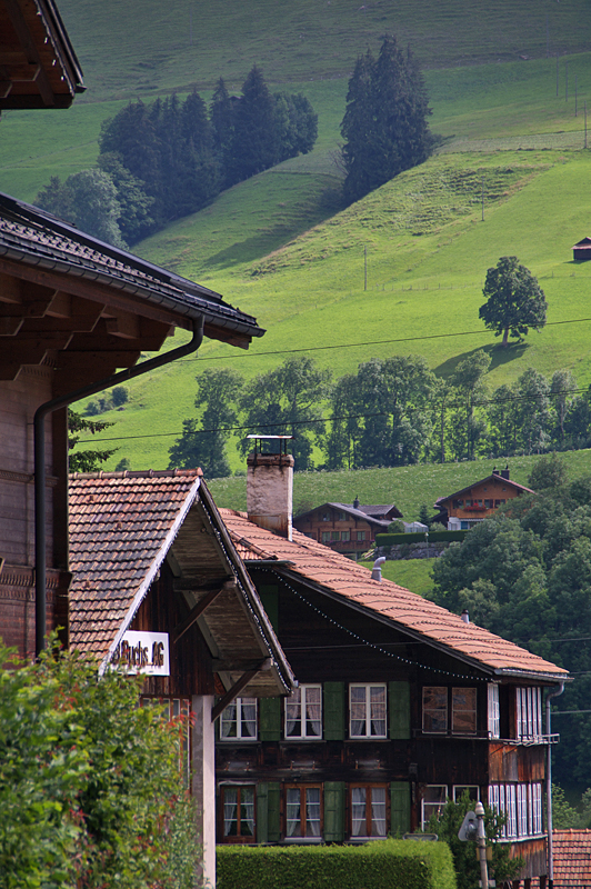 Zweisimmen-05.jpg Zweisimmen-05.jpg