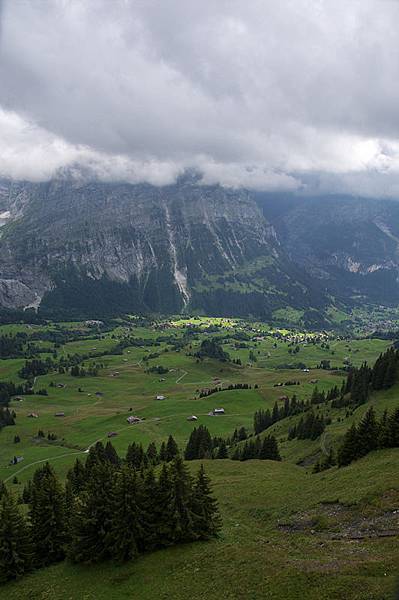 Grindelwald-06