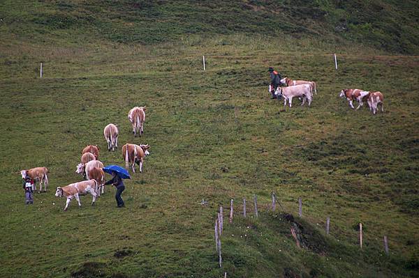 Grindelwald-17