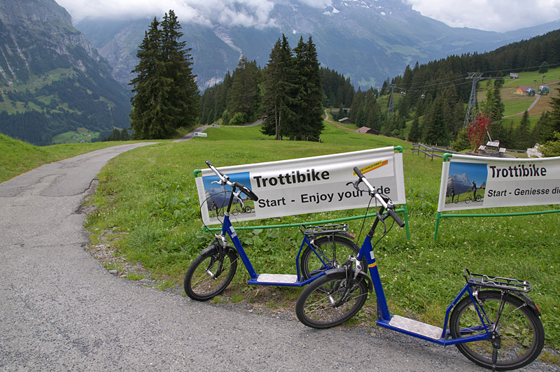 Grindelwald-25 Grindelwald-25