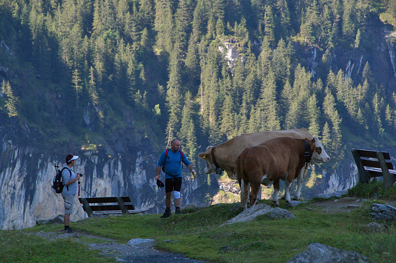 Pfingstegg-19 Pfingstegg-19