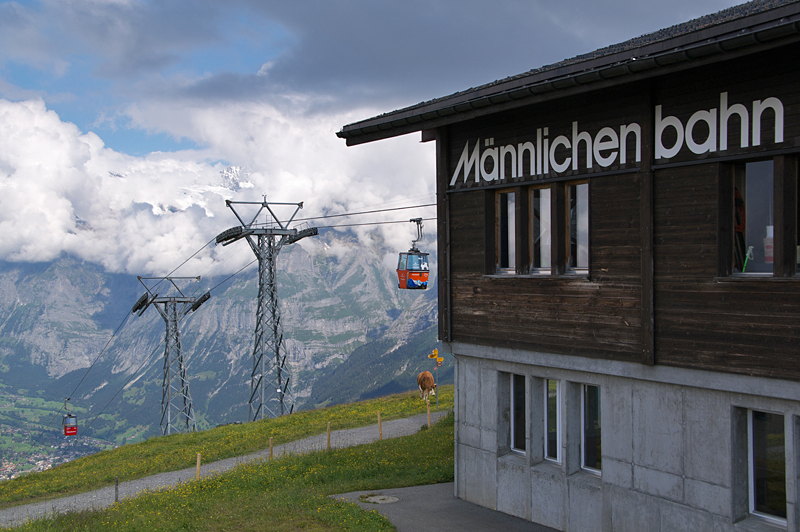 Mannlichen-52 Mannlichen-52