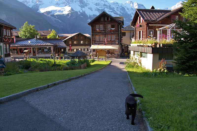 Murren-35