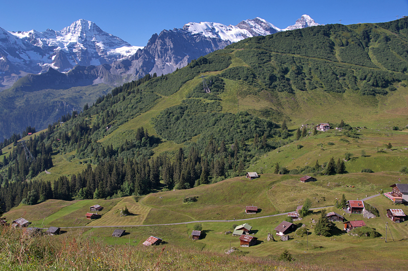 Murren-47 Murren-47
