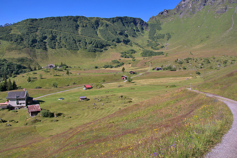 Murren-51 Murren-51