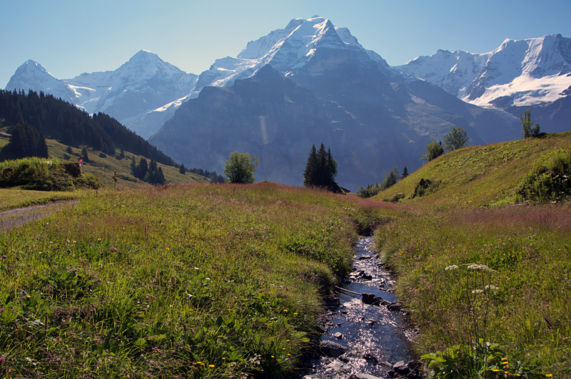 Murren-61 Murren-61