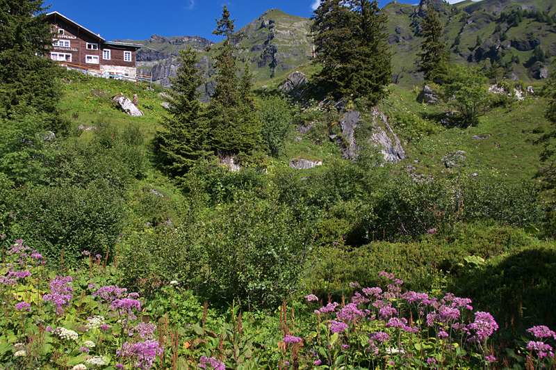 Murren-73 Murren-73