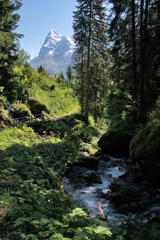 Murren-88 Murren-88