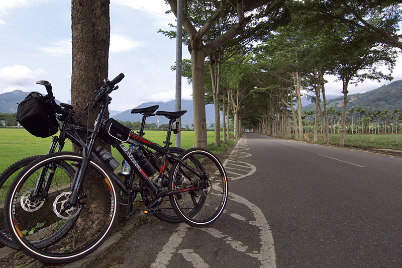 鹿野-24 鹿野-24