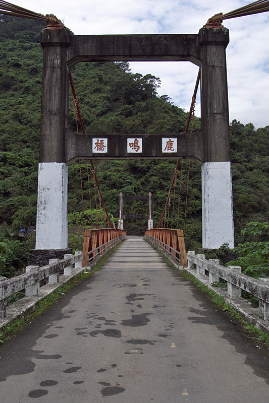 鹿野-35 鹿野-35