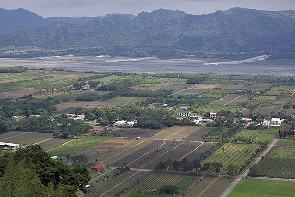 鹿野-39