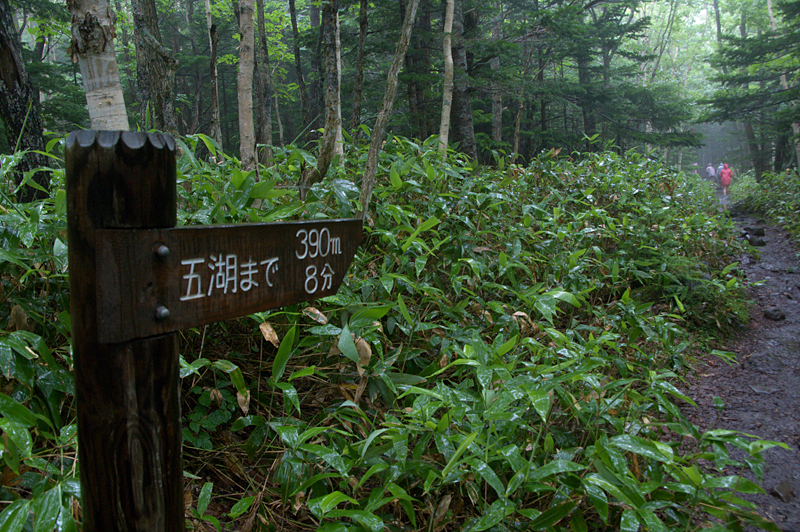 知床五湖-07 知床五湖-07