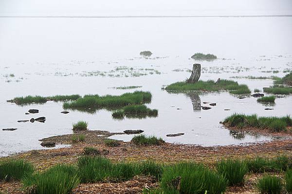 野付半島-21