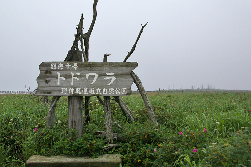 野付半島-25 野付半島-25