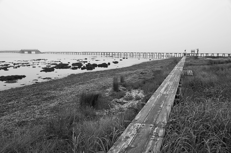 野付半島-30 野付半島-30