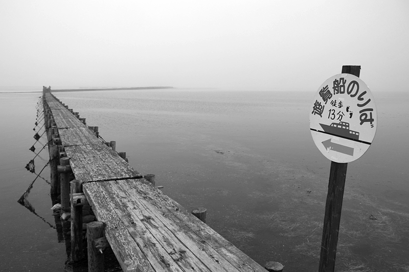 野付半島-39 野付半島-39
