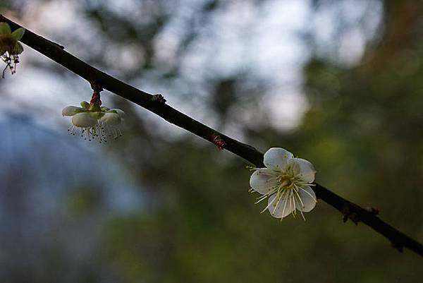 拉芙蘭村-06.jpg