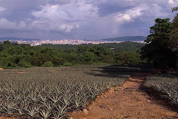 鐵騎東照山-11.jpg