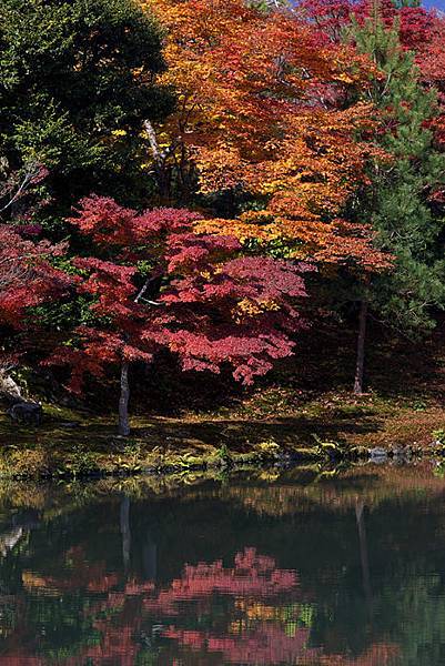 天龍寺-26.jpg