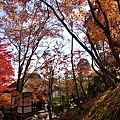 常寂光寺-08.jpg