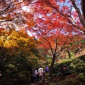 常寂光寺-10.jpg