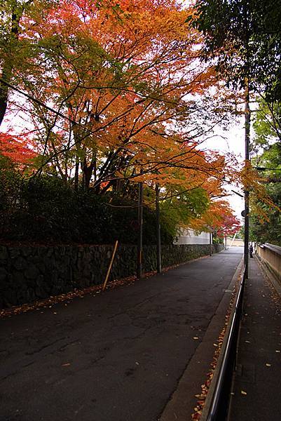 東福寺-01.jpg