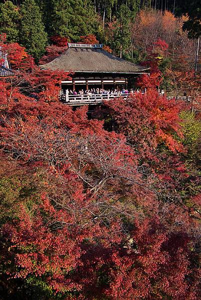 清水寺-17.jpg